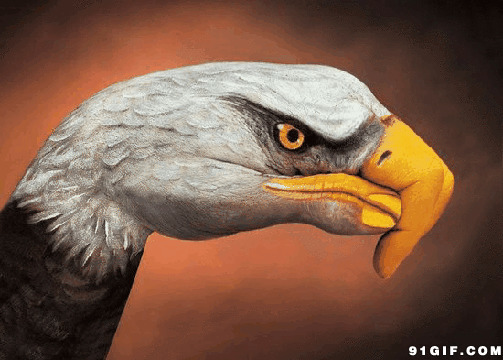 人手彩绘会动老鹰图片:彩绘,老鹰