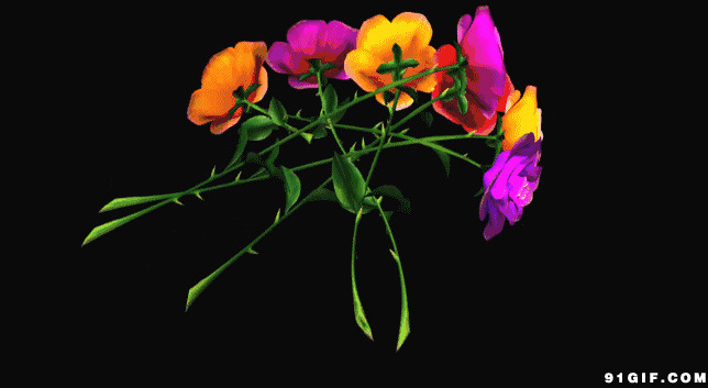 旋转的颜色绚丽花朵图片:花朵,旋转