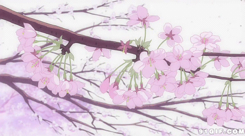 树枝花瓣掉落动漫图片:花瓣,唯美,樱花