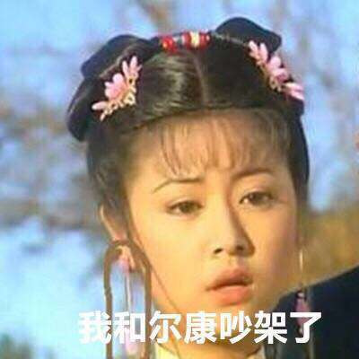 我和尔康吵架了表情图片