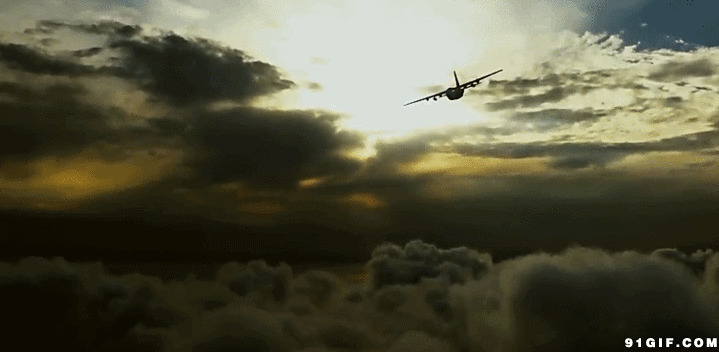 飞机起飞gif动态图片:飞机,客机