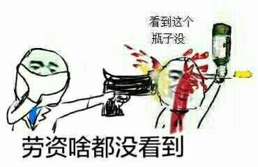 老子啥都没看到表情图片