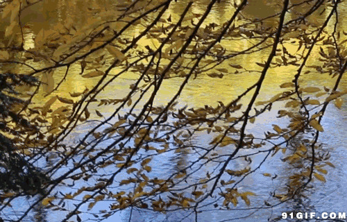 湖水波光粼粼美景图片:湖水,水波,风景