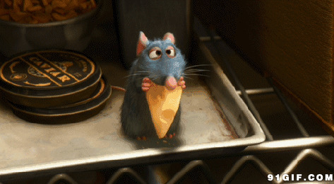 老鼠偷吃食物图片:老鼠