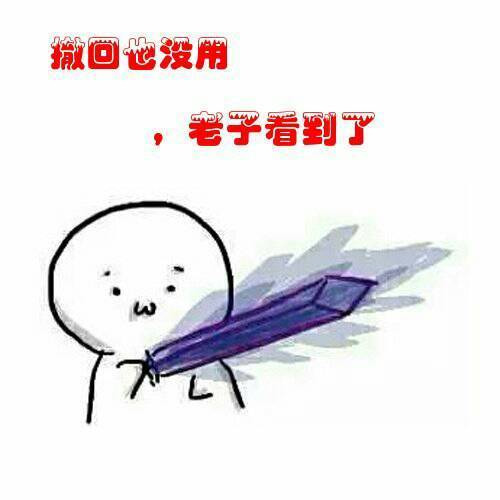 撤回也没用老子看到了表情图片