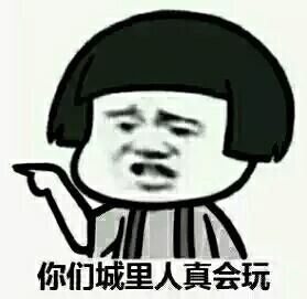 你们城里人真会玩表情图片