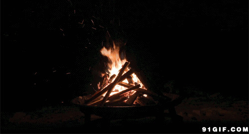 熊熊燃烧的篝火图片:篝火,火焰