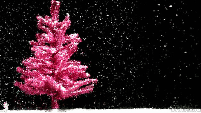 漫天飞舞冬夜雪花图片:雪花,下雪
