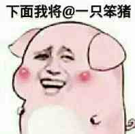 下面我将@一只笨猪表情图片