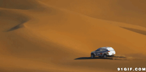 沙漠汽车拉力赛图片