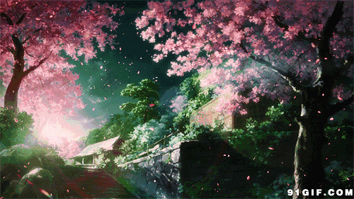 大树落叶风景唯美动态图:樱花,花瓣