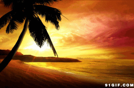 海边椰树红色晚霞美景动态图