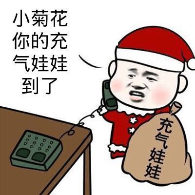 小菊花你的充气娃娃到了表情图片