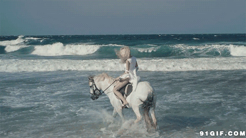 海边骑马动态图:骑马,白马