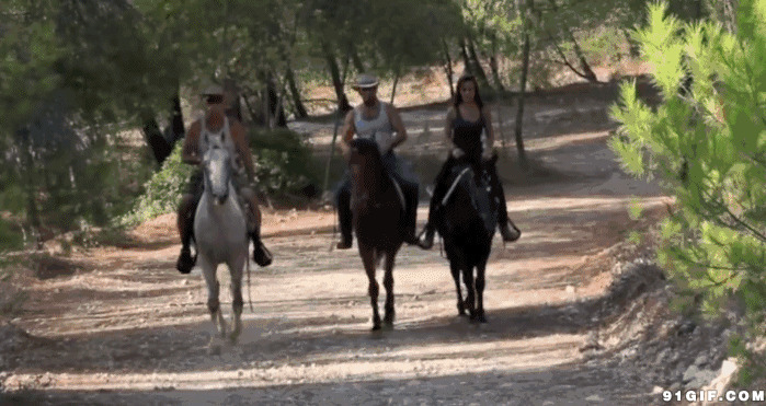 牛仔荒野骑马动态图片:骑马