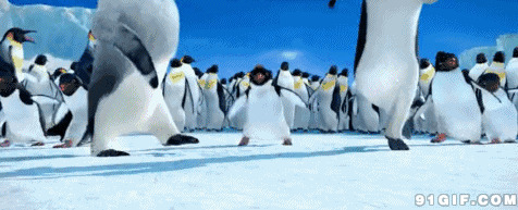 企鹅南极雪地起舞卡通动态图:企鹅