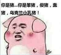 你是猪  你是笨猪表情图片