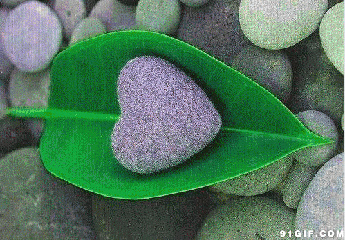 绿叶心形石头唯美动态图:石头,爱心,树叶