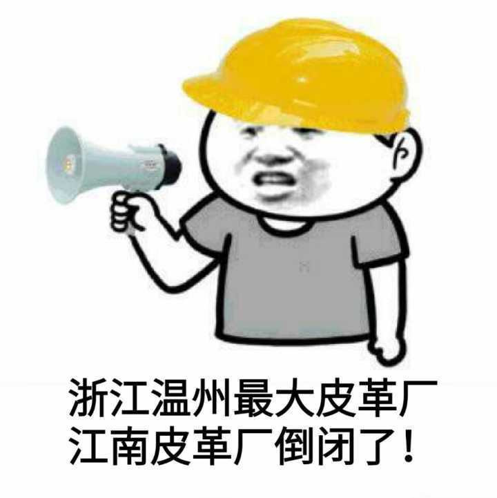 浙江温州最大皮革厂江南皮革厂倒闭了表情图片