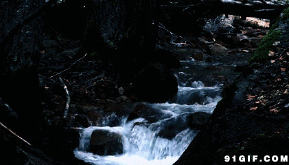山涧溪水缓缓流图片:小溪,溪水