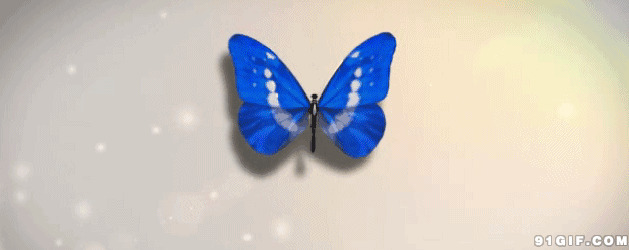 蓝色的蝴蝶飞舞图片