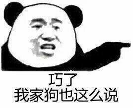 巧了  我家狗也这么说表情图片
