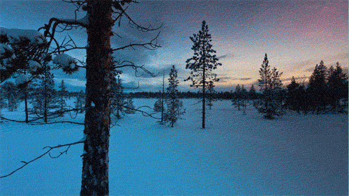 冬季雪原夜景图片