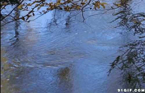 小溪漪潺潺流水碧波涟图片:流水,河水,水波