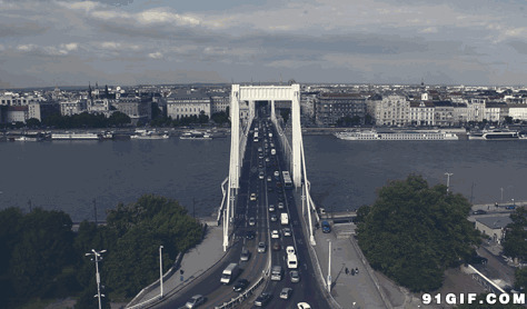 跨海大桥车流不息gif图片:大桥,车流,景色,城市,都市