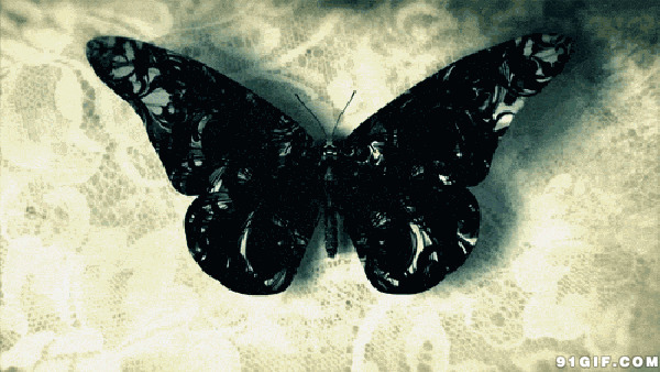 炫酷黑色蝴蝶展翅动态图:蝴蝶