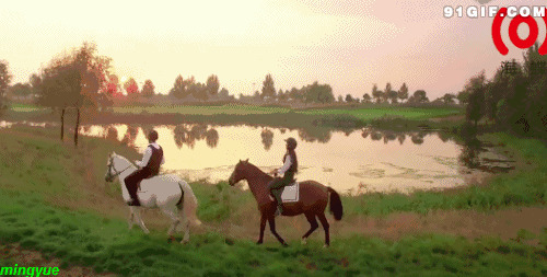 马师湖边练马动态图:训练,马匹,骑马