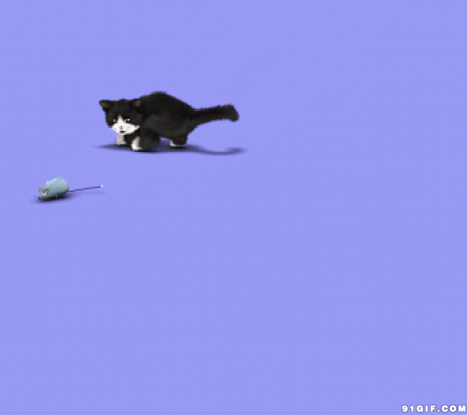 黑猫捉小老鼠动态图:猫猫,老鼠