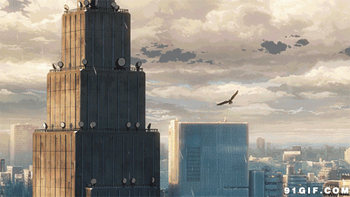 长鹰飞越高楼大厦动态图:飞鹰,老鹰,高楼