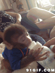 小猴子抢奶瓶喝奶搞笑动态图