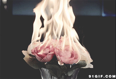 玫瑰花gif图片:玫瑰,火焰