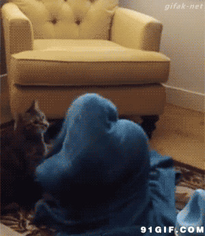猫猫在毛巾被里藏猫猫动态图:搞笑,猫猫