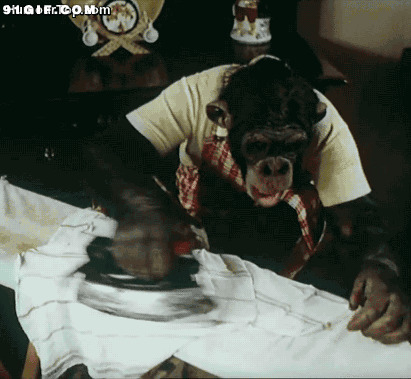 黑猩猩保姆熨烫衣服动态图:黑猩猩,猩猩