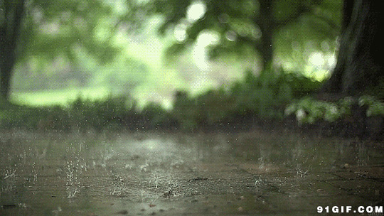 雨丝滴落路边青石动态图