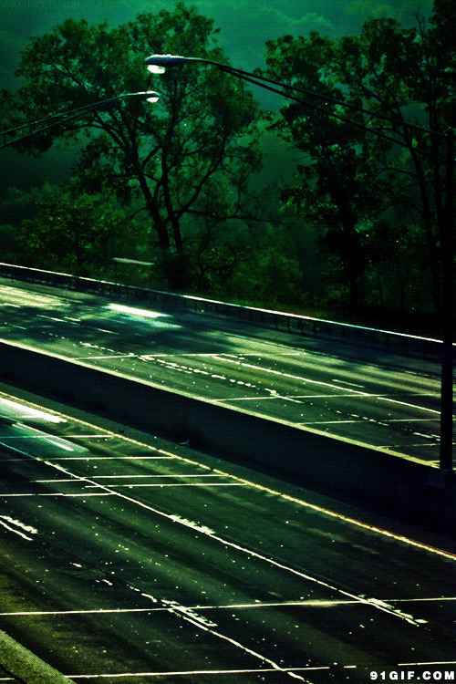 高速公路夜景动态图:公路,夜景,车流