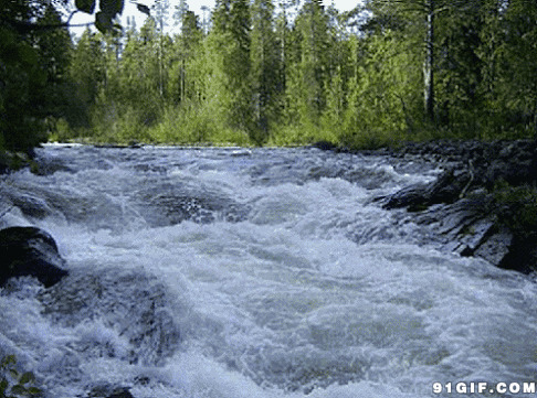 森林里流出白花花河水动态图:河水,流水
