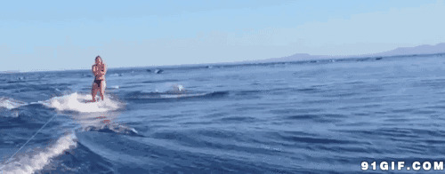 与海豚一起冲浪动态图:海豚,冲浪