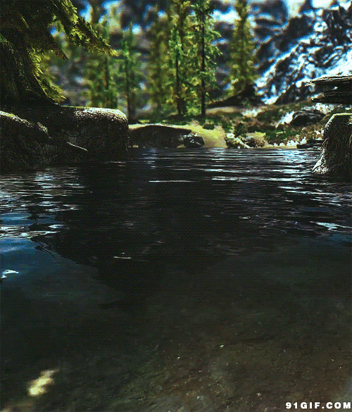 树林旁清澈的湖水动态图:湖水,水波