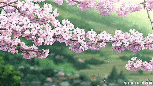 粉红色花瓣飘落卡通动态图:花瓣,樱花,唯美