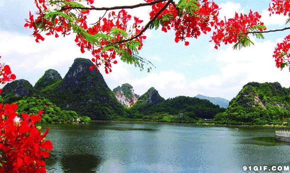 风景优美翠绿山湖水动态图:风景,湖水,红叶