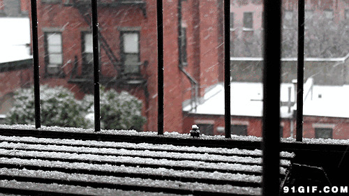 阳台外大雪纷飞动态图:下雪,飘雪