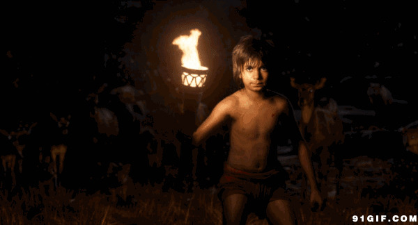 小男孩手持火把防备老虎动态图:老虎,火把,火焰