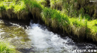 白哗哗河水流向下游动态图:河水,流水