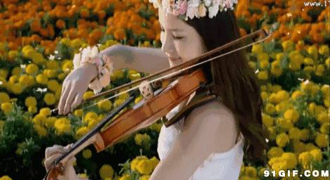 花丛中演奏小提琴动态图