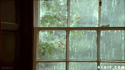 窗外瓢泼大雨动态图:下雨,雨水,窗户