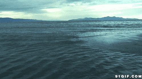 海水冲洗着海岸动态图:大海,海浪